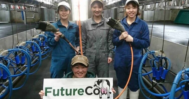 Rigid Farm Case Study