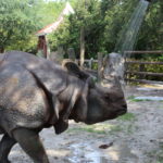 PJ cooling off in his shower