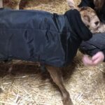 Adjustable straps for a closer fit.