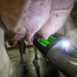 FutureCow TeatScrubber
