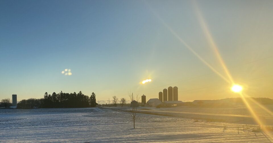 Winter Cold on Dairy Farm