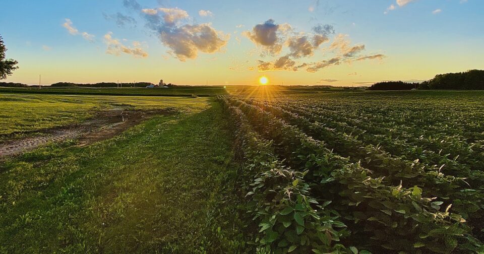 Sustainability on Dairy Farms